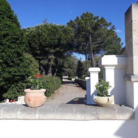 B&B Trulli E Mare Martina Franca Exteriér fotografie